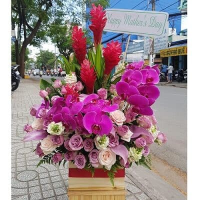 Khúc khải hoàn SN345