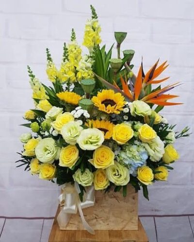 Thẹn thùng II SN364
