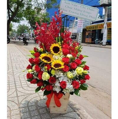 Mầm yêu thương SN373