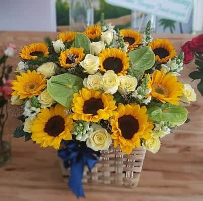 lang hoa huong duongdep