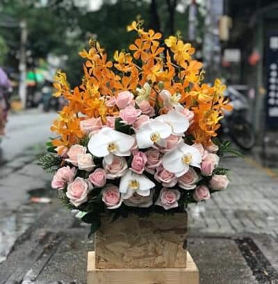 Mừng Hoan hỷ SN332