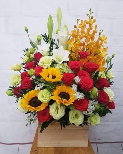 Thành công vững bước 043