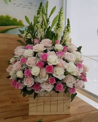 Tình mãi đắm say SN374