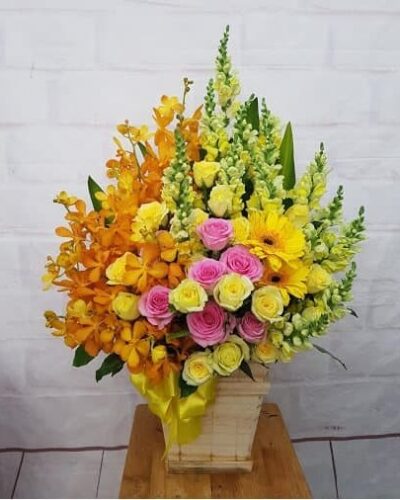Khát vọng thanh xuân SN341