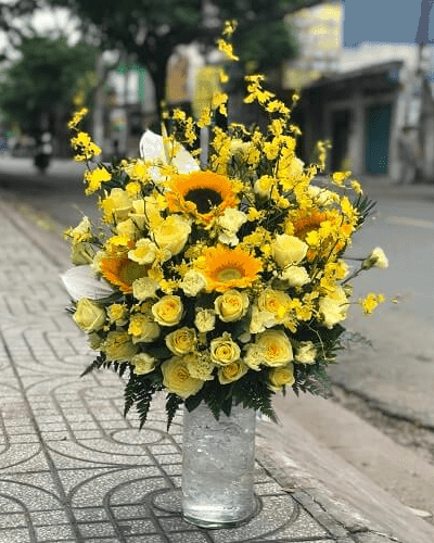 Nụ cười tỏa nắng