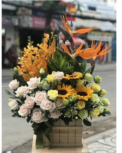 Thành tựu vươn xa