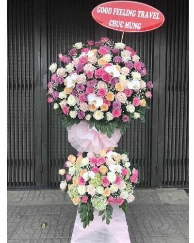 Nụ hồng xinh HKT107