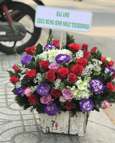 Nụ hồng e ấp
