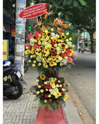 Tỏa sáng 001
