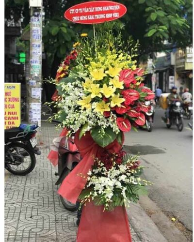Chân trời tươi đẹp