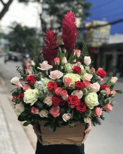 Cát tường 1