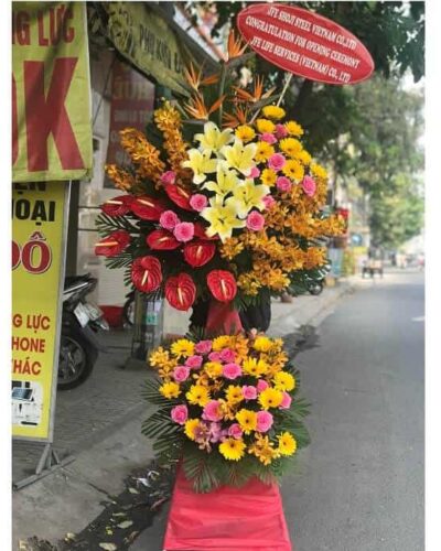 Trường phát