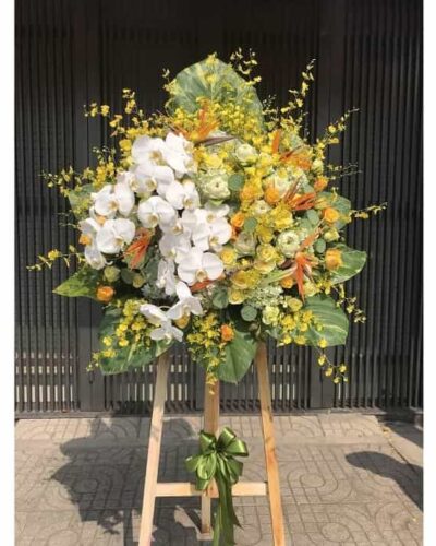 Vươn tới thành công 3