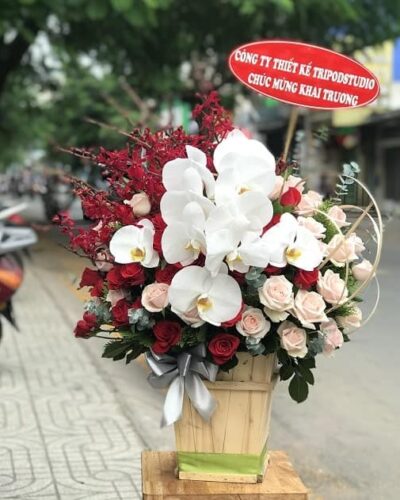Bản tình ca thứ 2