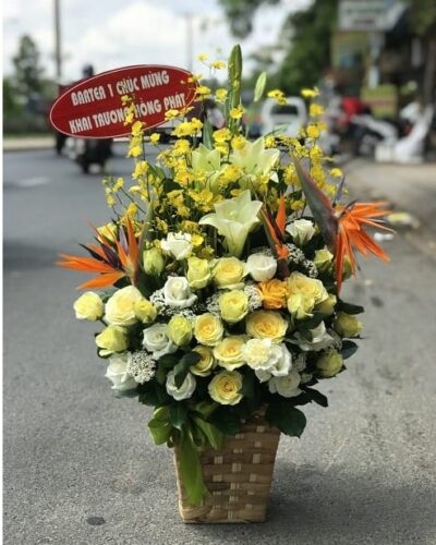 Chấp cánh yêu thương