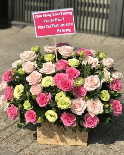 Sắc màu tình yêu