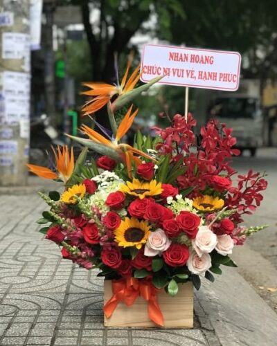 Tuổi thần tiên