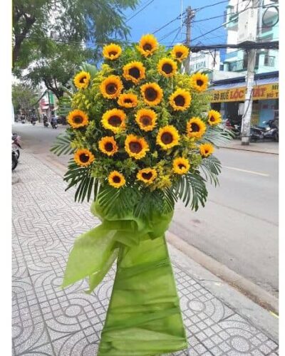Ánh dương 2