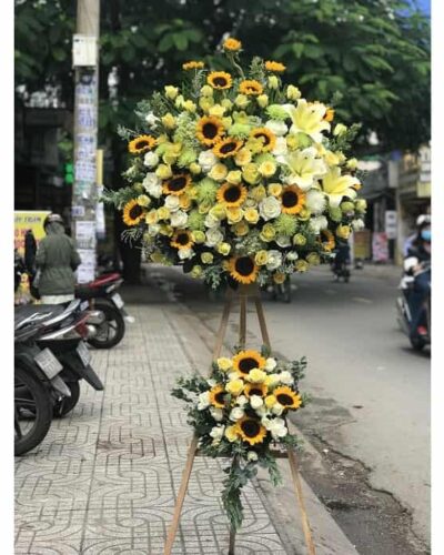 Ánh dương 001