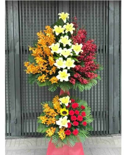 Hoa bách hợp HKT109