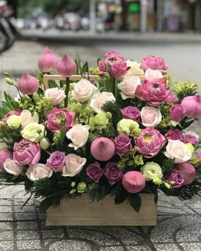 Sắc son