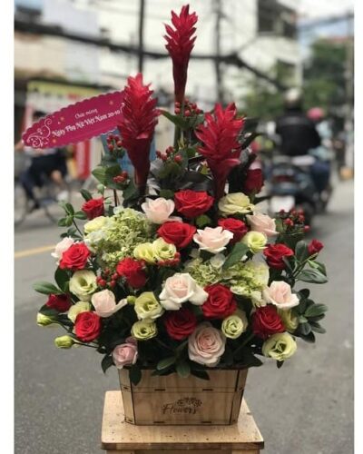 Đoàn viên
