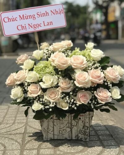 Má hồng
