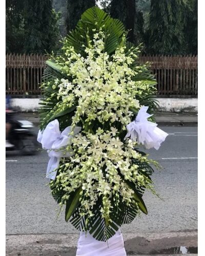Nơi bình yên nhất 2