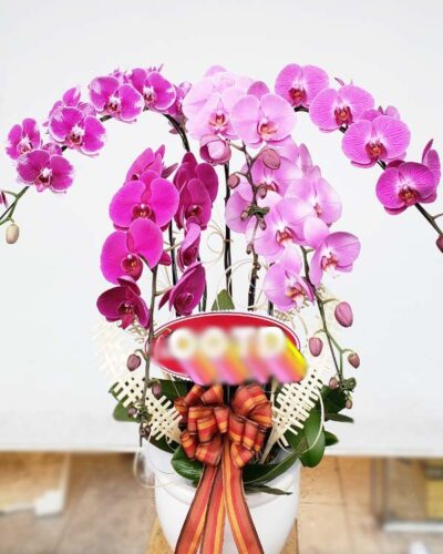 Niềm vui nhân đôi 002