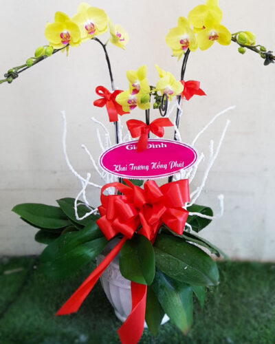 Lộc phát lộc 002