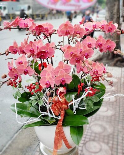 Đa lộc 001