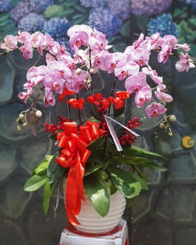 Dệt mộng yêu thương 002