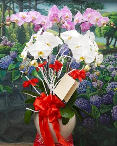 Phát lộc phát tài 001