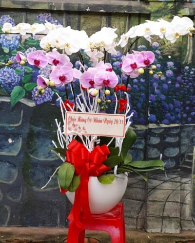 Hạnh phúc vô bờ 001