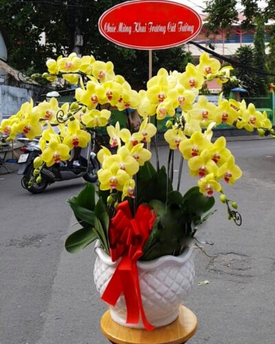 Khúc ca chiến thắng 02