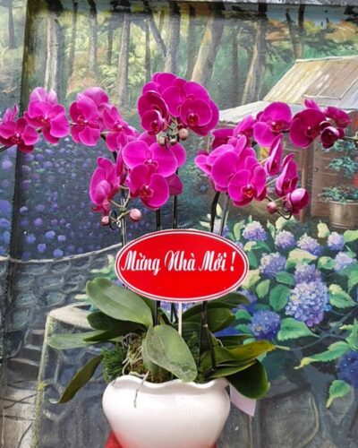 Tết đong đầy