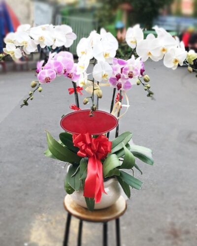 Phú quý bình an 001