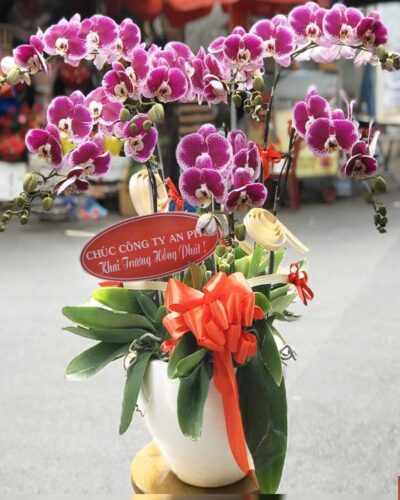 Thành công dẫn lối 001