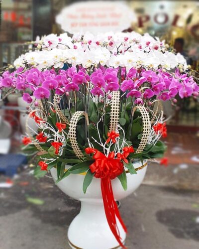 Phồn thịnh
