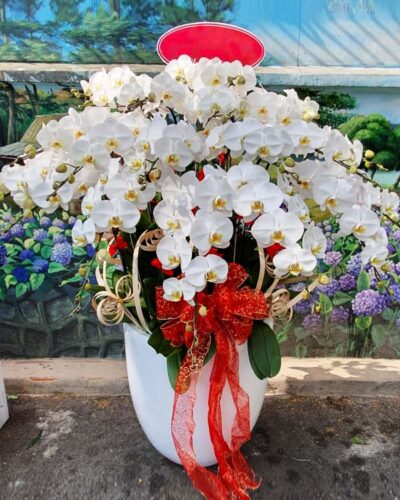 Đại tài đại cát 002