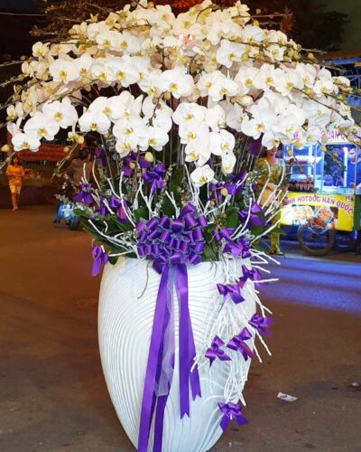 Vinh hiển 001