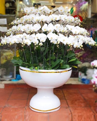 Như ý cát tường 001