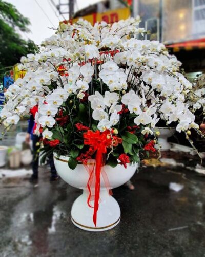 Lộc phát trường giang 001