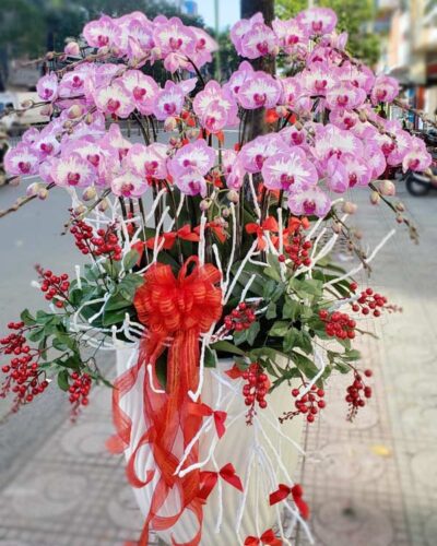 Vinh hoa phú quý 001