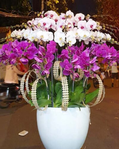 Phúc lộc thọ 001