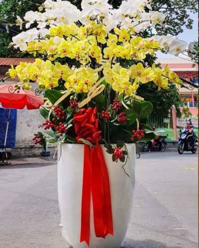 Viên cát tài lộc 2
