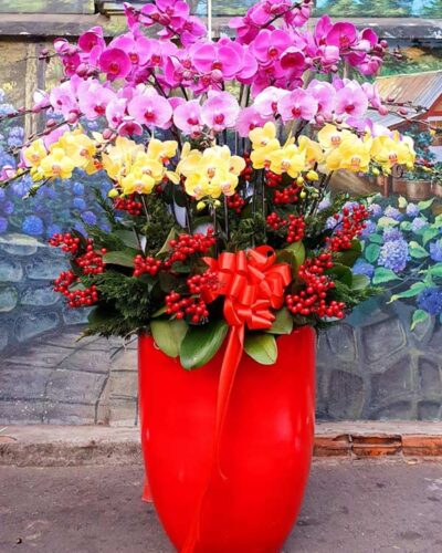 Yêu thương đong đầy 001