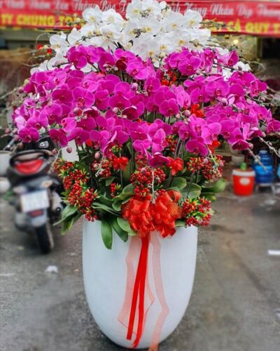 Tài như ý 001