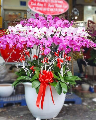 Lộc phát lộc 001