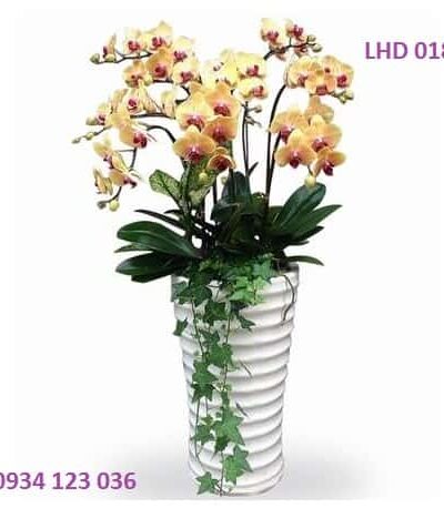 Quyến rũ LHD019